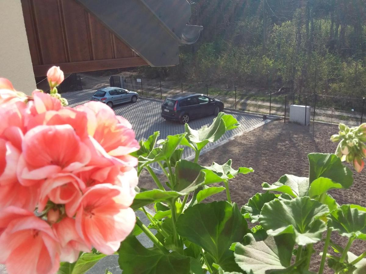 جانوويك Dworek Akacja Uslugi Hotelarskie المظهر الخارجي الصورة